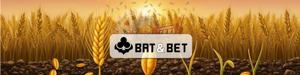 입출금 시스템 점검 속도·한도·정책의 투명성